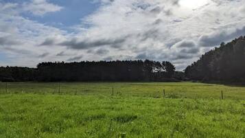 Rumah | Pemandangan dari properti