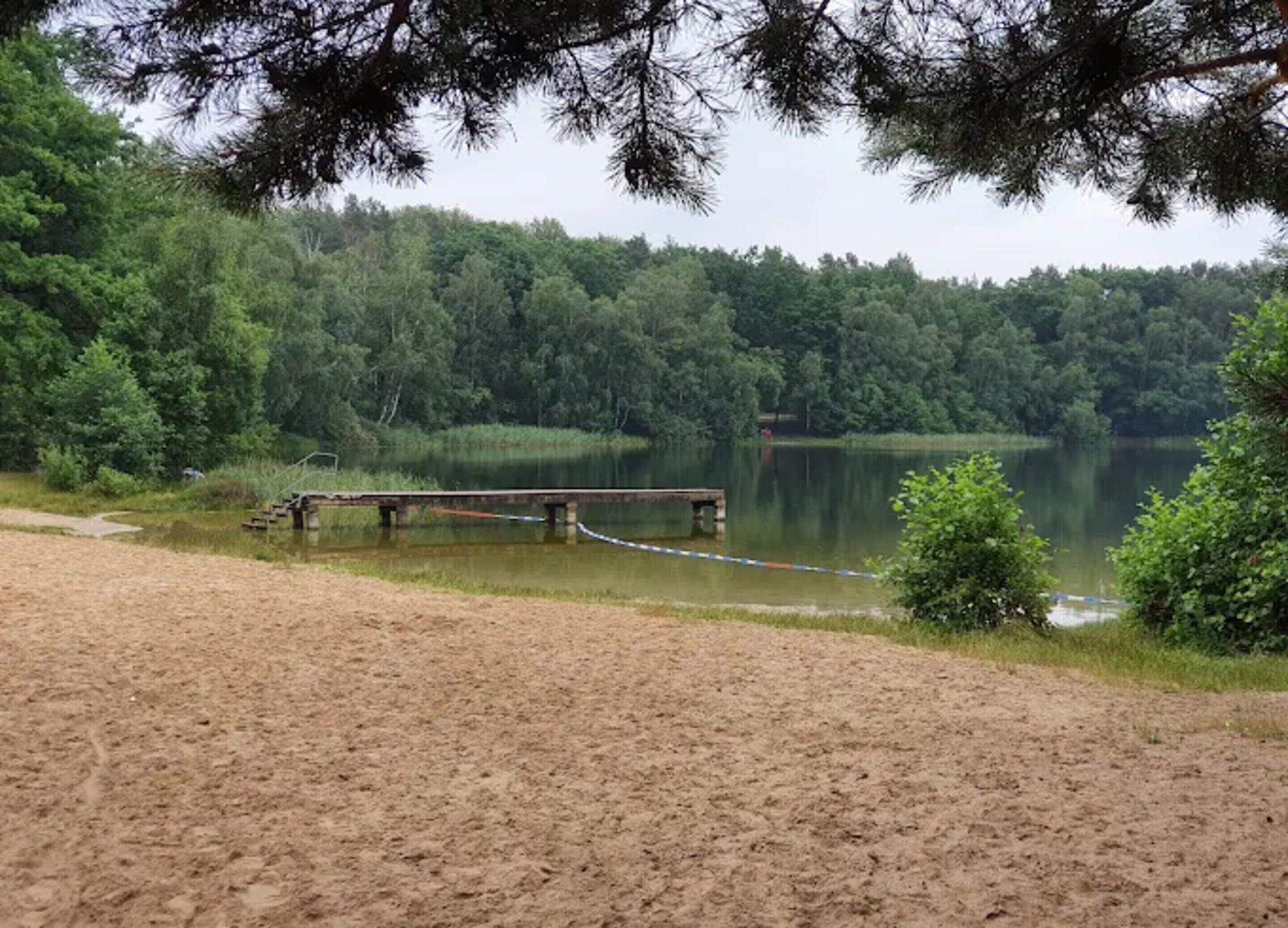Una playa arenosa con un muelle de madera que se adentra en un lago tranquilo, rodeada de un bosque denso.