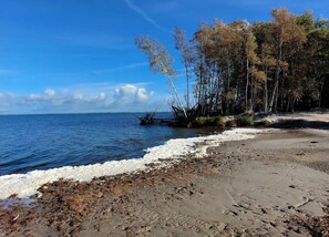 A beach with a clear sky, a sandy shore, and trees in the background. - Ferienhaus, Fuhlendorf (Fuhlendorf)