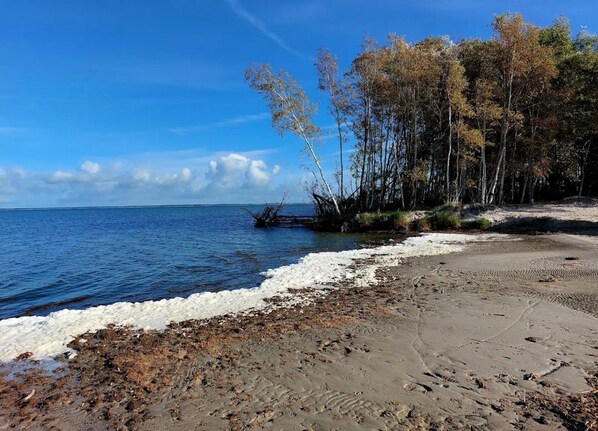 House | View from property - Ferienhaus in Fuhlendorf (Fuhlendorf)