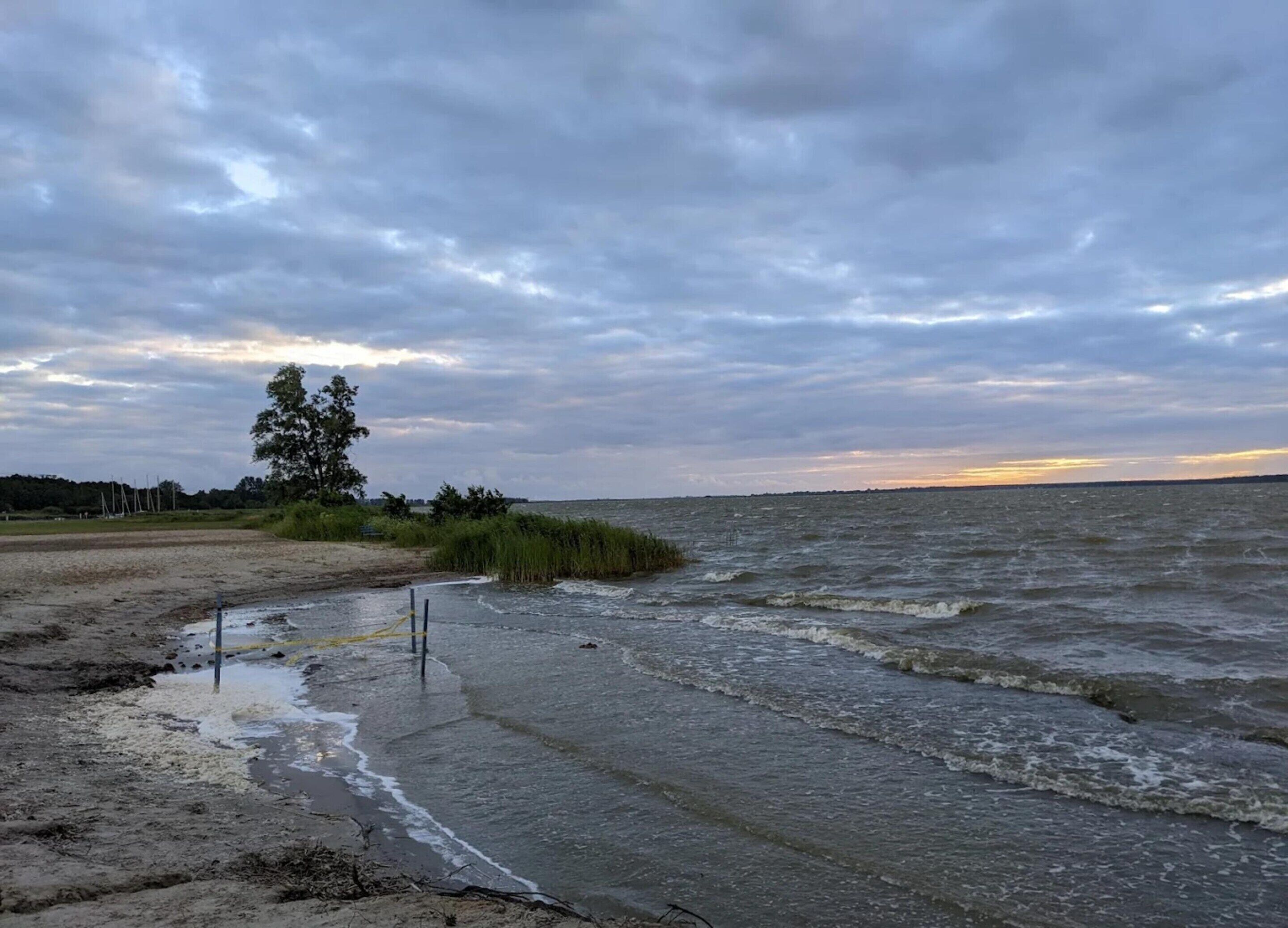 Une plage avec un rivage sablonneux, des zones herbeuses et un ciel nuageux.