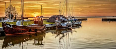 House | View from property