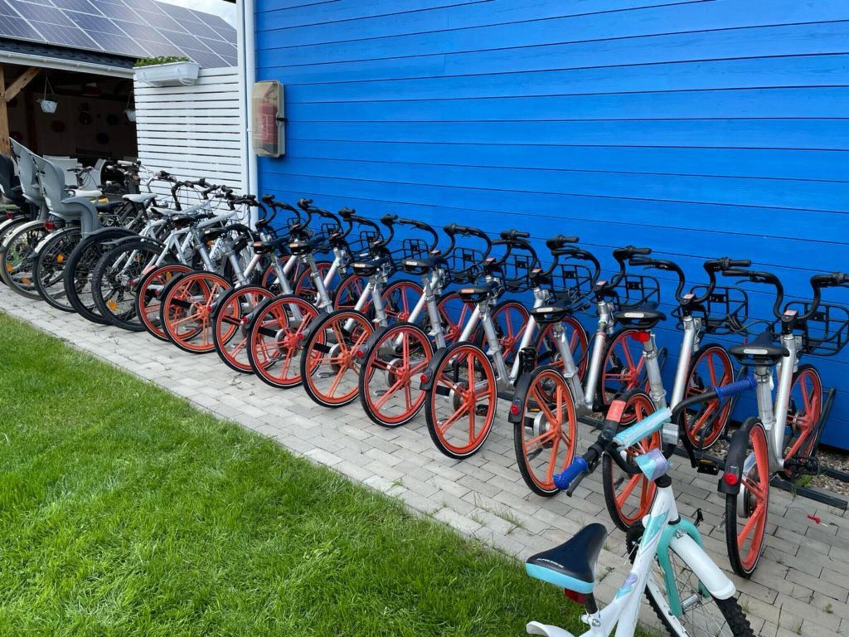 Flere cykler står parkeret langs en blå bygning, foran et grønt græsareal.