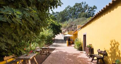 Finca Naturacanaria, Moya