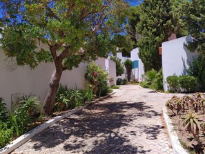 單棟房屋 | 外觀