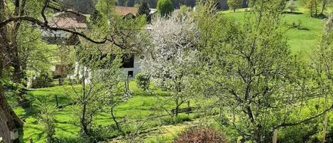 Apartment | Pemandangan dari hartanah