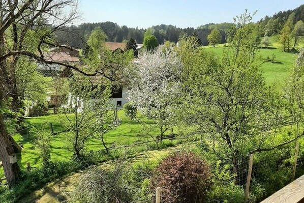 Apartment | Blick von der Unterkunft