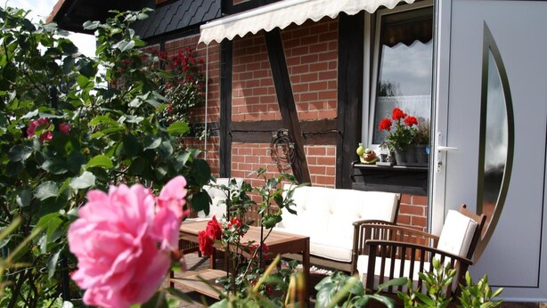 Un patio con un divano bianco, un tavolo di legno e una sedia. In primo piano, vasi con piante e un fiore rosa di grandi dimensioni.