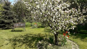 Un parco con una panchina e alberi in fiore.