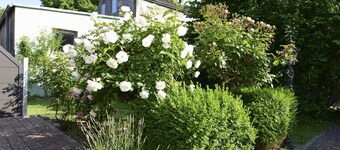 Ferienwohnung in Wyk Boldixum for Vier Personen