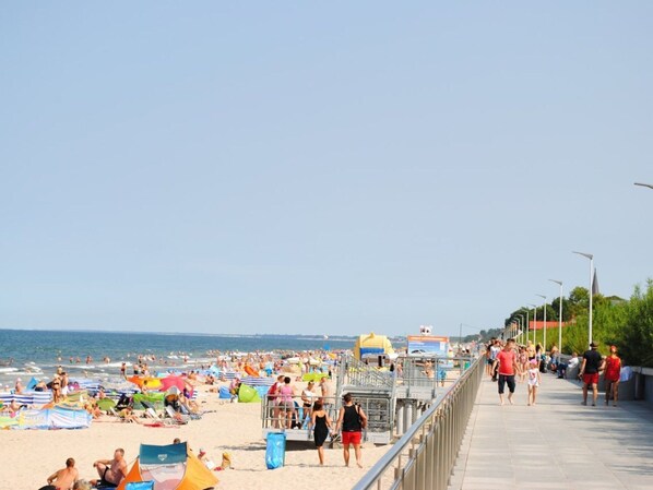 House | View from property - Cottage in Sarbinowo Near Baltic Beach (Mielno)