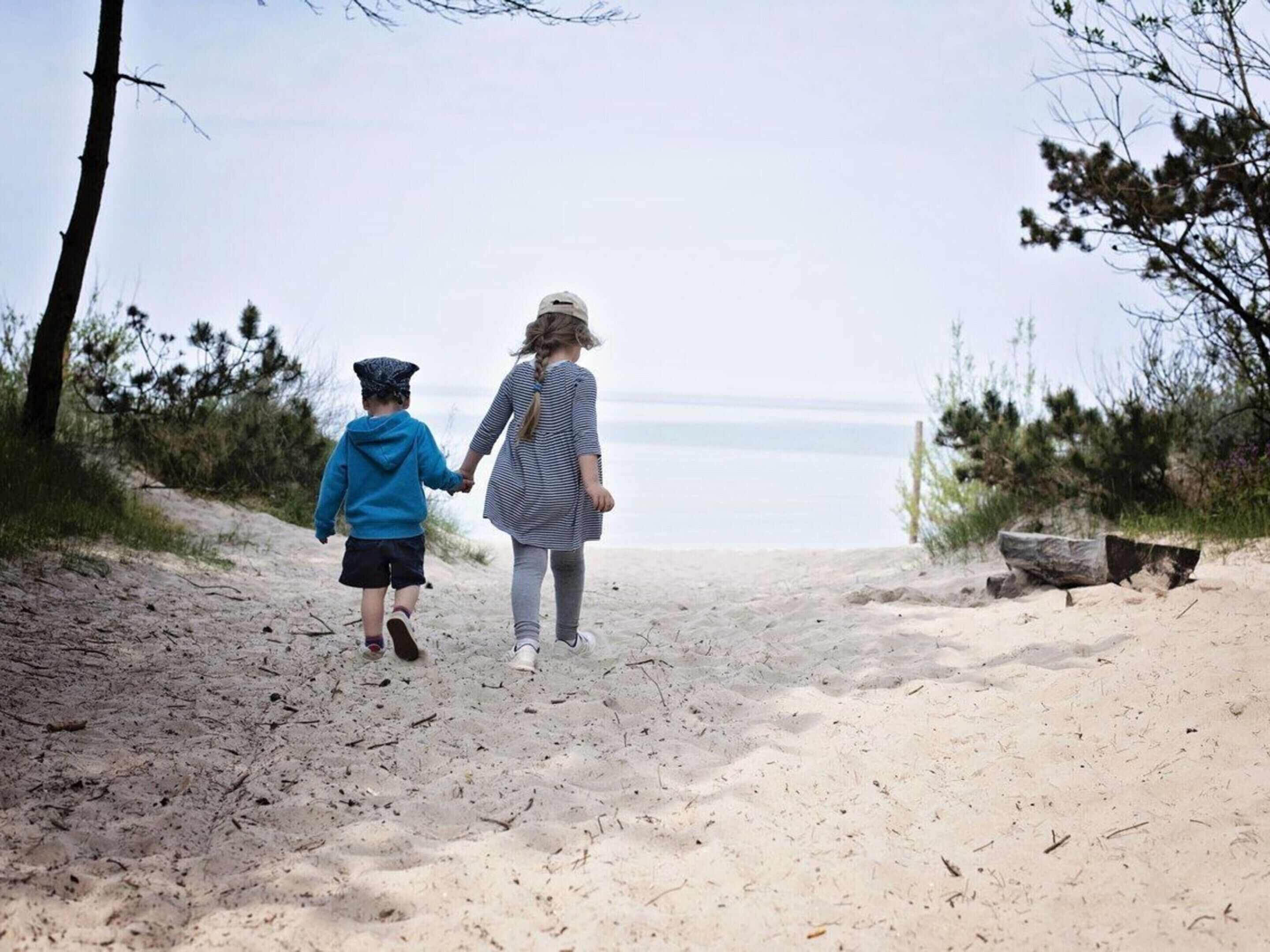 A sandy path leading to a beach with trees on either side.
