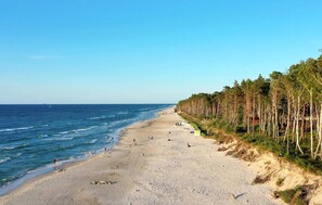 A beach with a clear sky, calm sea, and a line of trees along the shore.