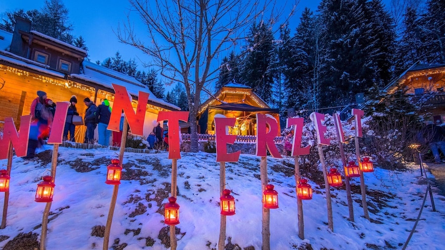 Chalet in Neukirchen