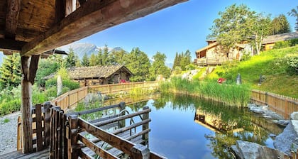 Chalet in Wildkogel Near Ski Slopes & Pool