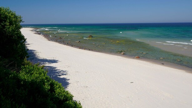 A beach with clear turquoise water, white sand, and green vegetation along the shore. - Ferienwohnung im Feriendorf Rugana (Dranske)
