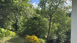 A garden with a variety of trees and shrubs, a wooden bench, and a stone pathway. - Ferienhaus Sackpfeifenblick, Hatzfeld (Hatzfeld)