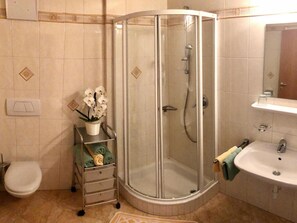 Baño en esquina con ducha compartimentada por vidrio, inodoro y lavamanos.
