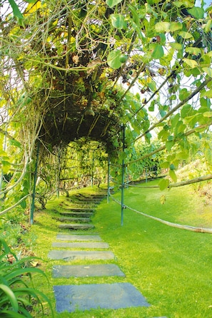 Bungalow | Utsikt fra overnattingsstedet