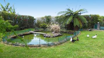 Bungalow | Water view