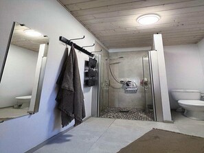 A modern bathroom with a shower, toilet, and a mirror.