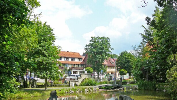 A serene pond with a statue of a figure in the water, surrounded by lush greenery and traditional buildings in the background. - Appartement Jagdschlosschen, Bad Sachsa (Bad Sachsa)