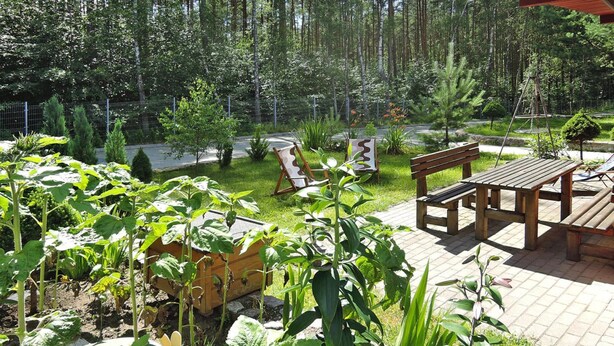 A garden with a wooden bench and a table, surrounded by various plants and trees.