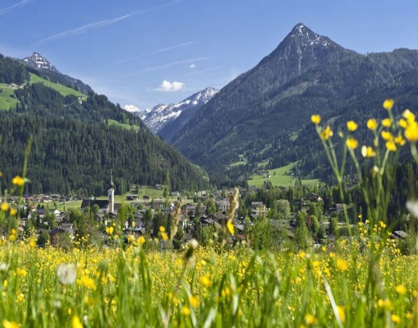 Apartment | Blick von der Unterkunft