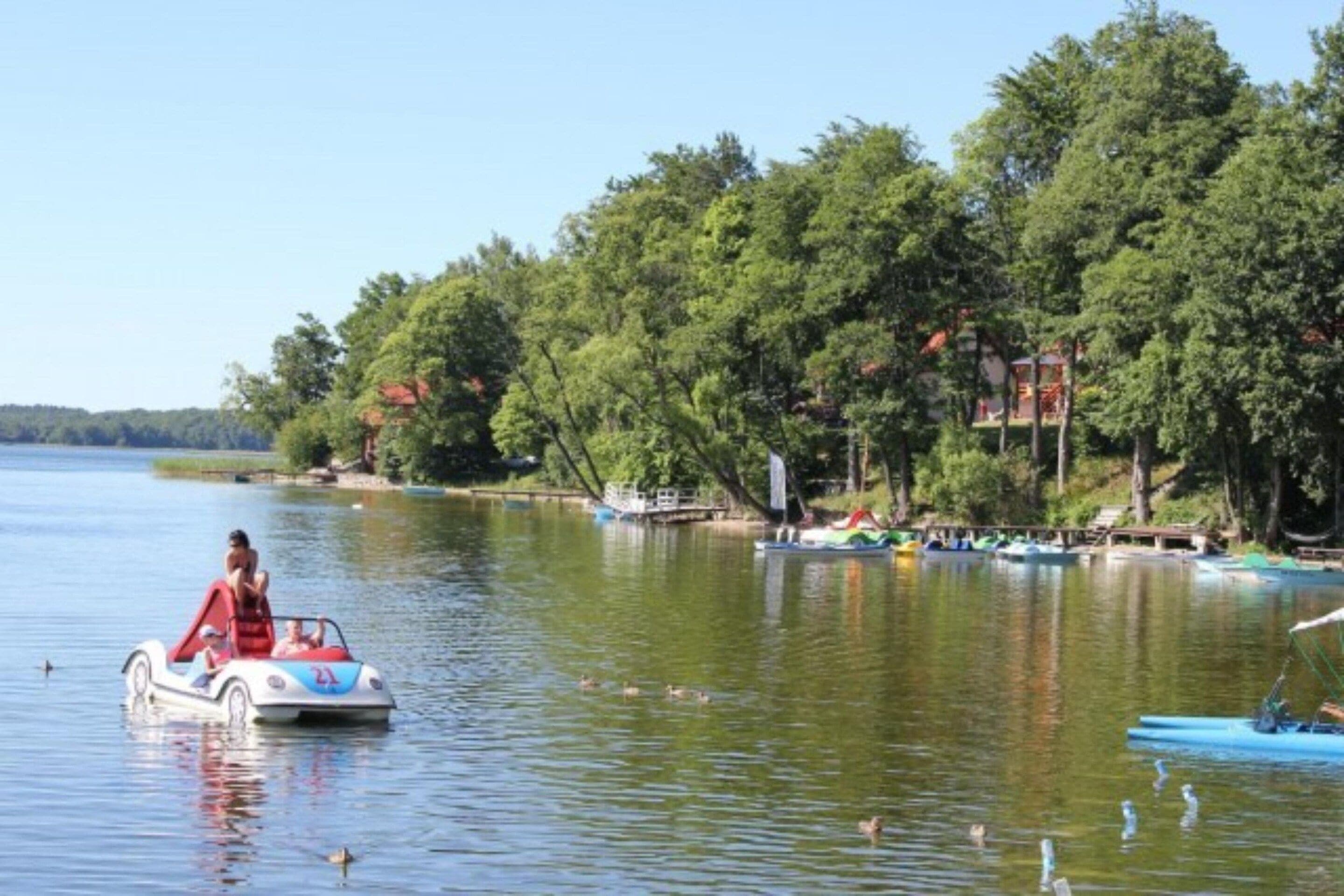 Un lago con una barca, anatre e un molo con un piccolo edificio.