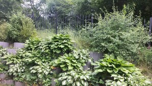 A garden with various green plants growing in wooden planters along a stone wall. - Holiday Home in Kretowiny Near Lake (Morag)