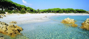 Apartment in Sos Alinos Near Cala Liberotto