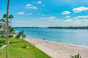A beachfront property with a swimming pool, palm trees, and a view of the ocean.