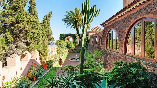 Un jardin agrémenté de cactus, de palmiers et d’une fontaine.