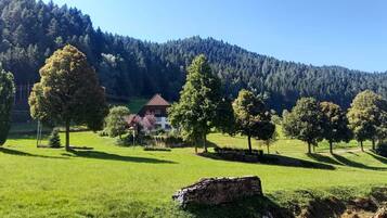 Apartment | Blick von der Unterkunft