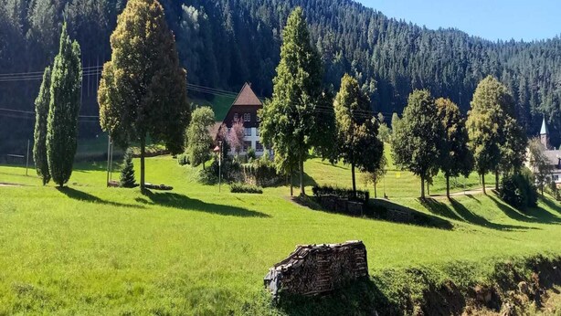 Un paysage rural avec une maison entourée d’arbres et une montagne en arrière-plan.