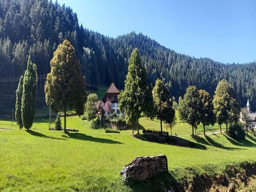 Holiday Home in Hornberg Near Triberg Falls