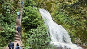 Leilighet | Utsikt fra overnattingsstedet