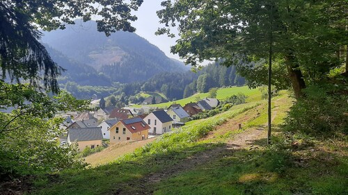 Holiday Home in Hornberg Near Triberg Falls