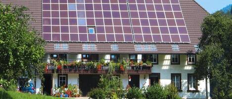 Apartment | Exterior