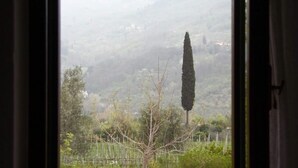 A view through a window with a tall, slender tree in the foreground and a hazy landscape in the background.