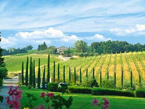 Appartement | Vue depuis l’hébergement