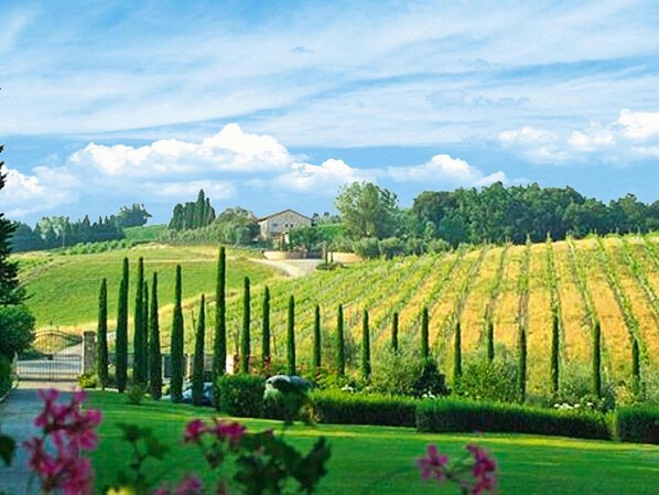 公寓 | 住宿景观