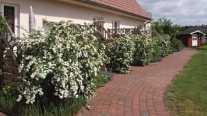 A house with a red-tiled roof, a brick pathway, and white flowering bushes. - Lichtdurchflutete Ferienwohnung in Buchholz am Muritzsee (Buchholz)