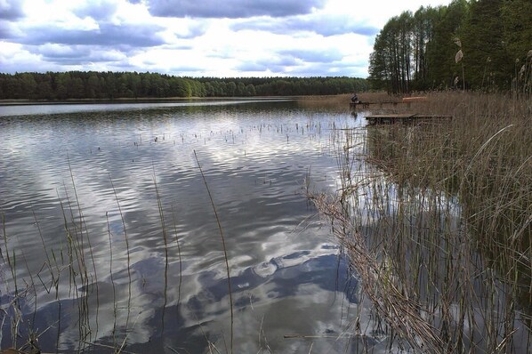 Un lago tranquilo con juncos y un muelle que se adentra en el agua.