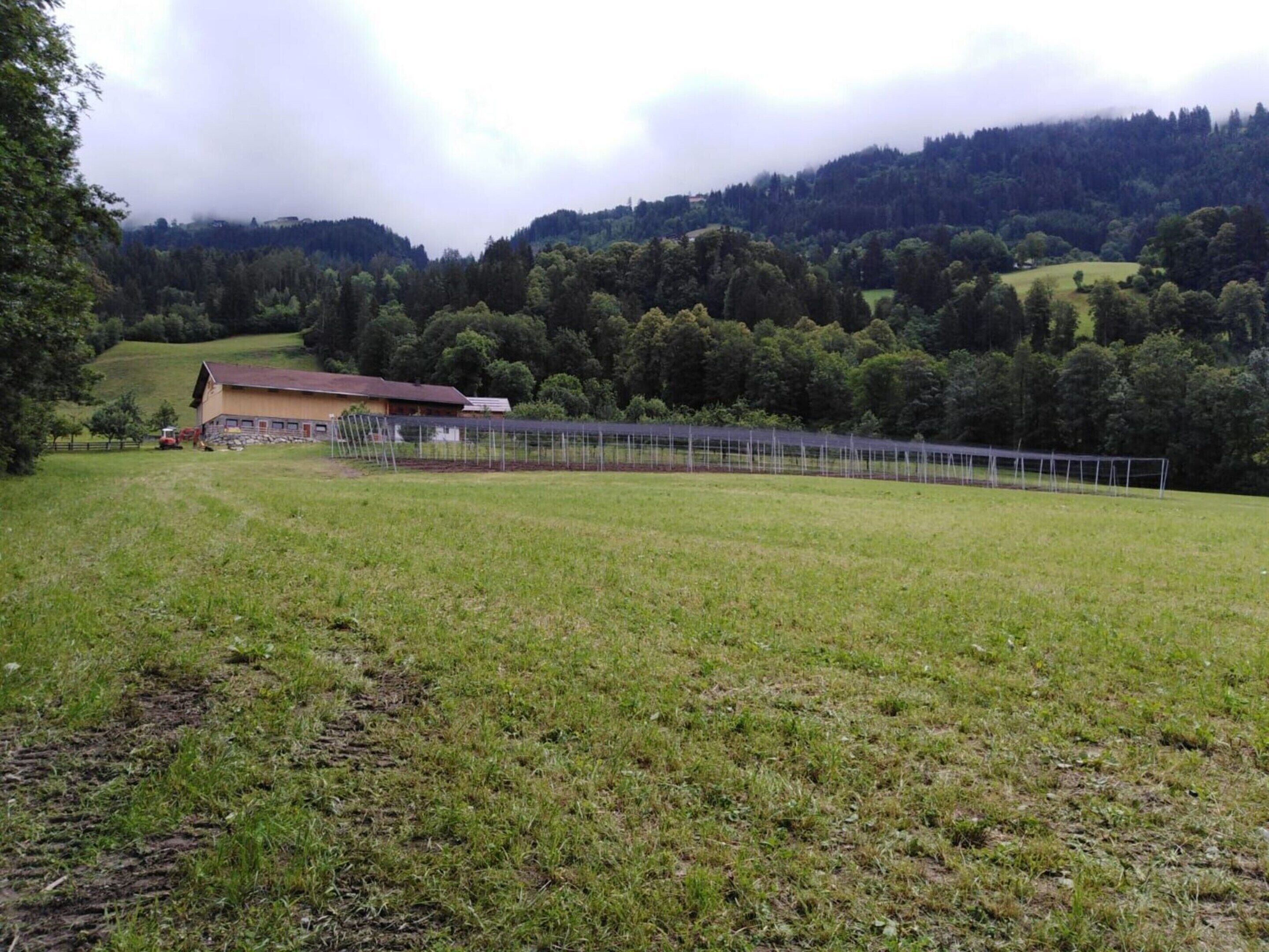 Ländliche Landschaft mit einem Gebäude, einem eingezäunten Bereich und hügeliger Kulisse.