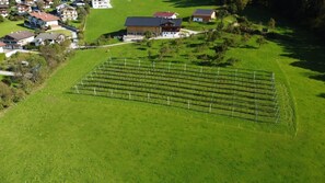 House | Exterior - Holiday on an Organic Farm in Hart im Zillertal (Hart im Zillertal)