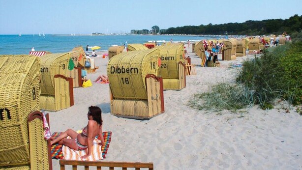 Strandliegen mit Nummern, ein Sandstrand und Blick aufs Meer.