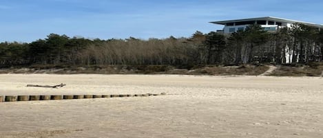 A modern building with a flat roof, surrounded by a forested area and a sandy beach.