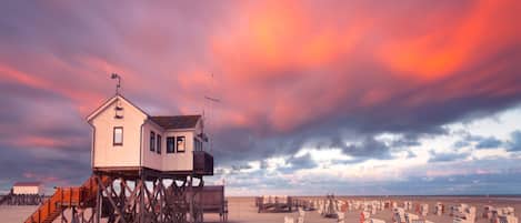 الإطلالة من المنشأة