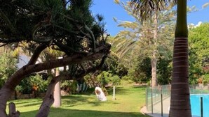 Ein gepflegter Garten mit Schwimmbad, Palmen und verschiedenen Sträuchern.